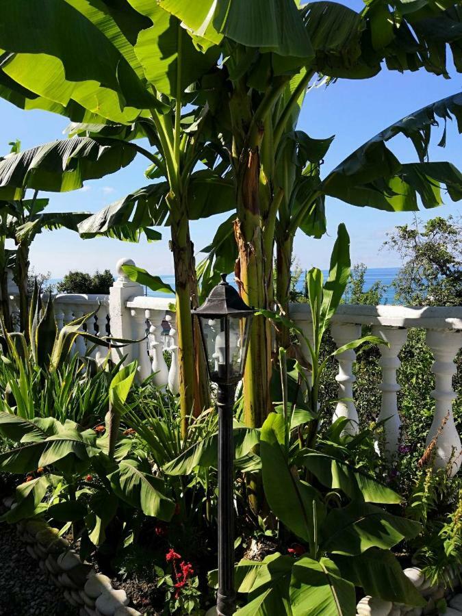 Guest House Amra New Athos Exterior foto